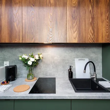 Apartment Plant&pillow 24h Self-check-in, Kosciol Mariacki 400m, Netflix Katowice